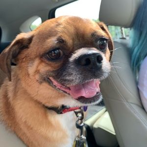 Meet your Posher, Kristy